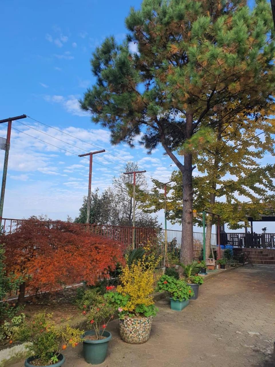 Gt House Batumi酒店 外观 照片