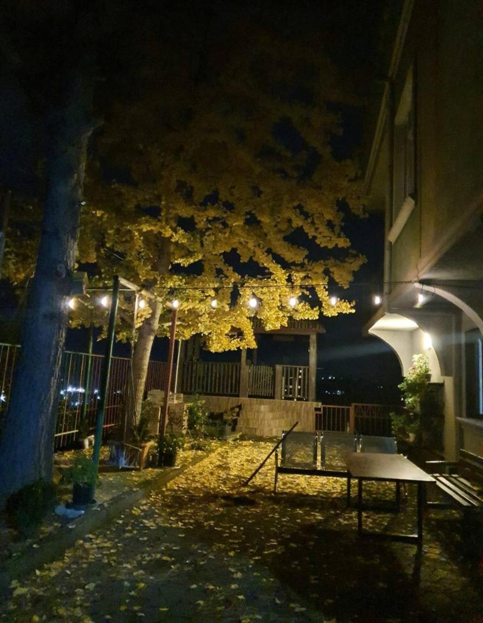 Gt House Batumi酒店 外观 照片