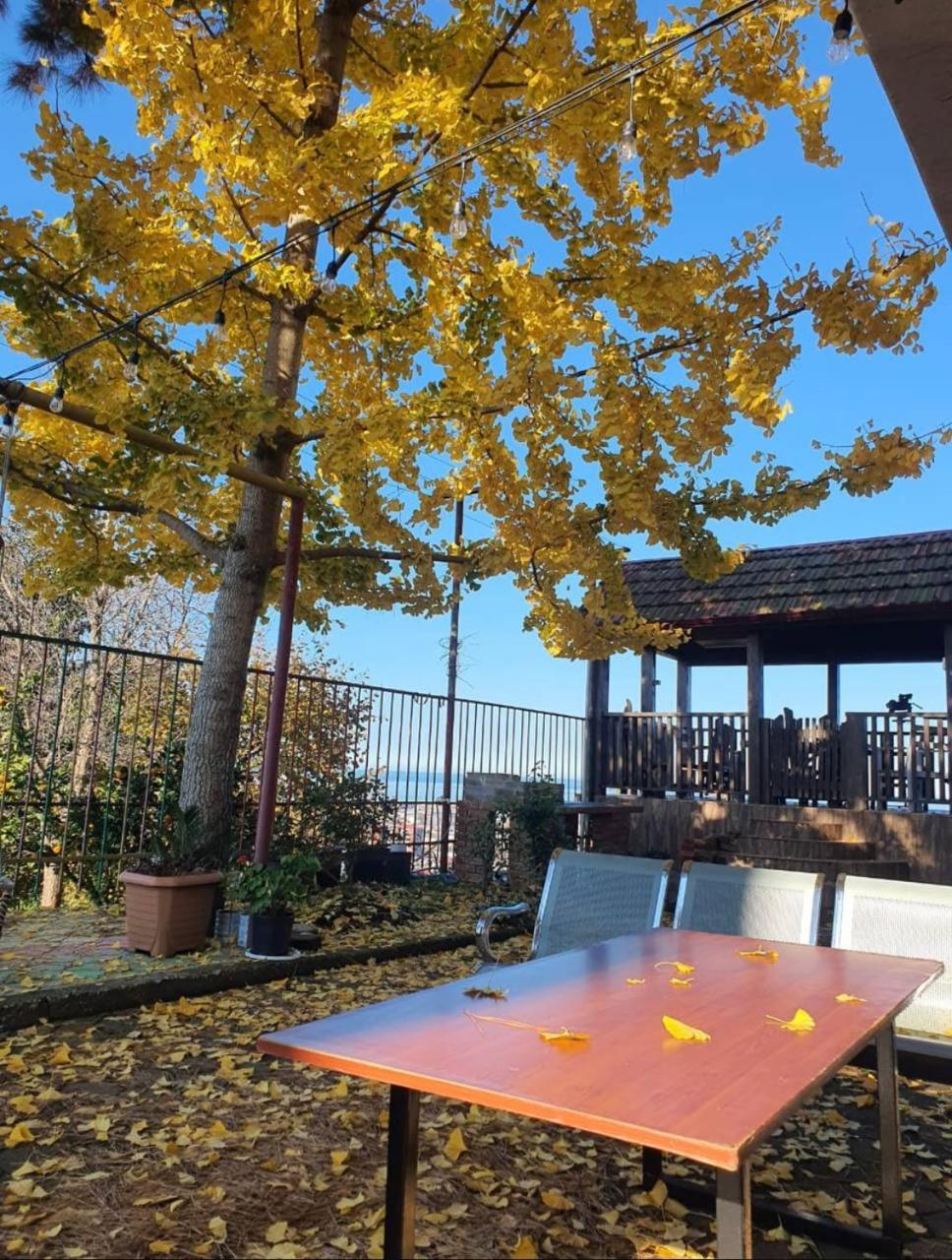 Gt House Batumi酒店 外观 照片