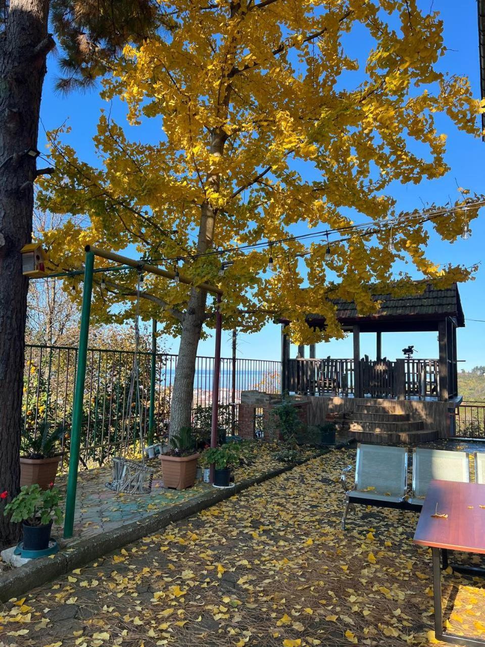 Gt House Batumi酒店 外观 照片