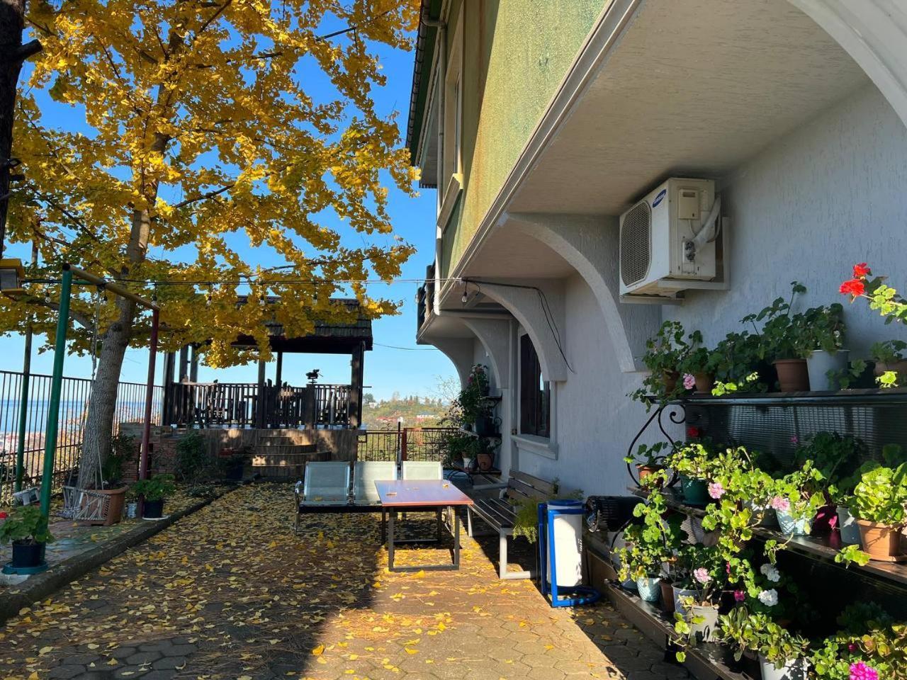 Gt House Batumi酒店 外观 照片