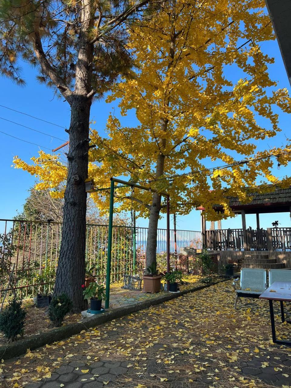 Gt House Batumi酒店 外观 照片