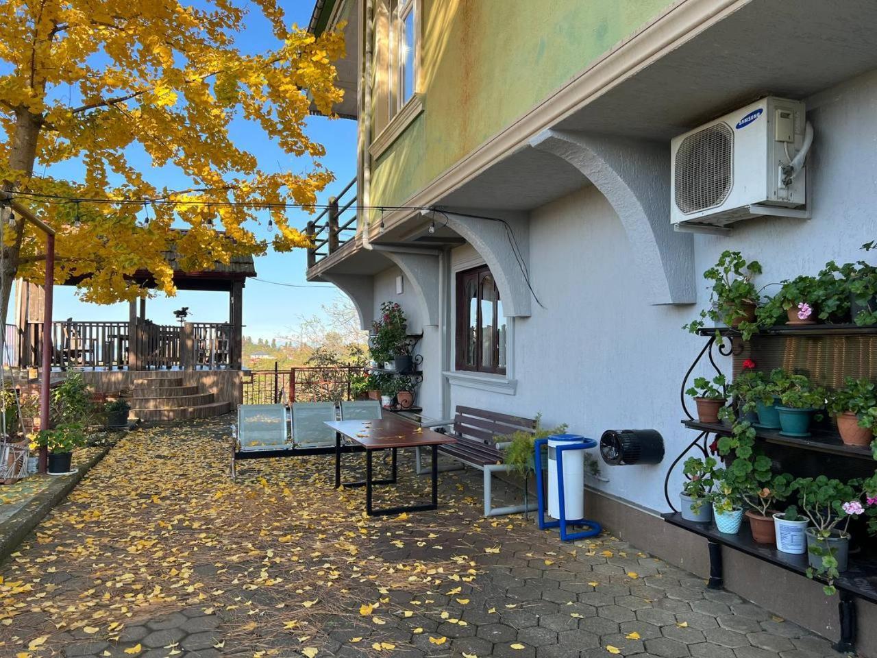 Gt House Batumi酒店 外观 照片